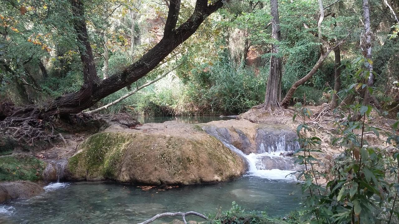 Villa Lei Rigaue Salernes Εξωτερικό φωτογραφία